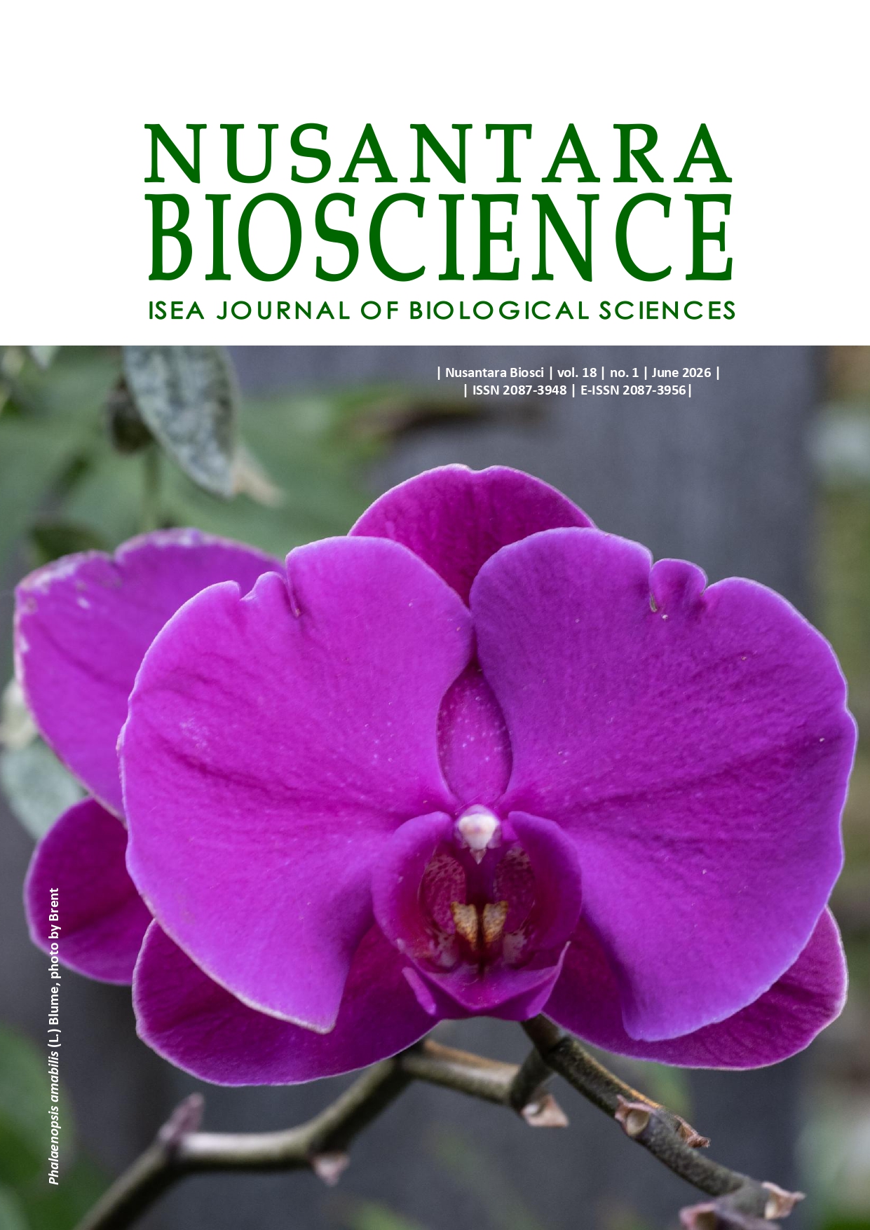 Nusantara Bioscience